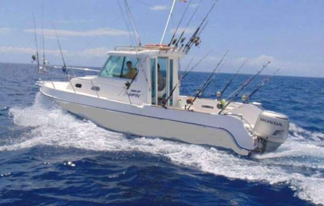 Fishing Boat Tenerife