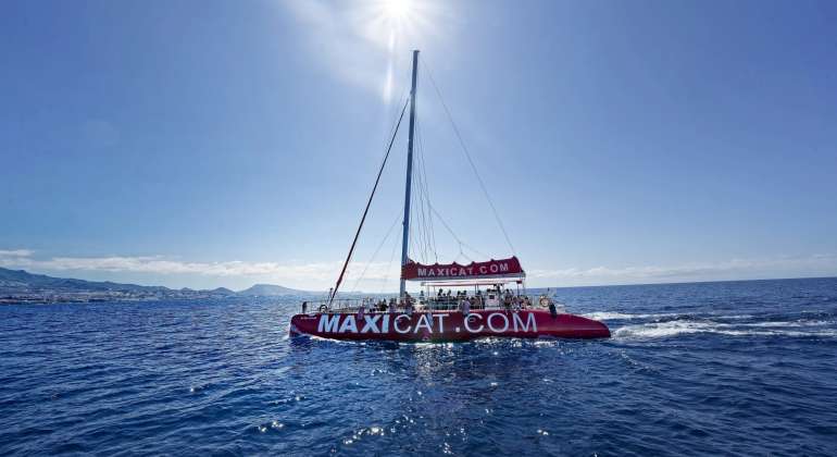 Ocean Voyager 46